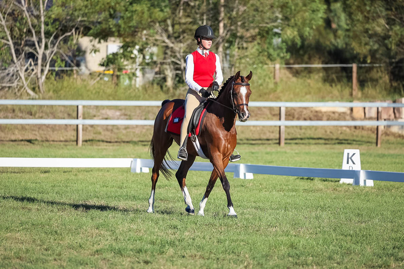JPC Feb 2026 Dressage-7653.jpg