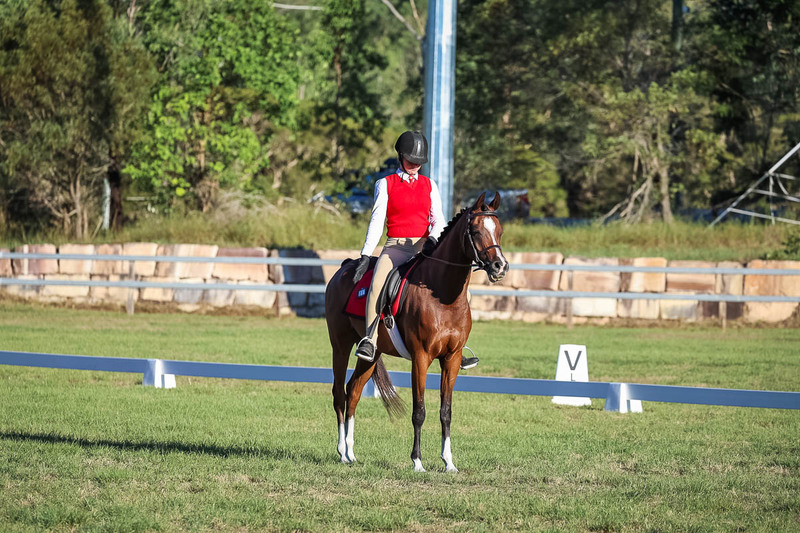 JPC Feb 2026 Dressage-7655.jpg