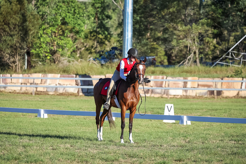 JPC Feb 2026 Dressage-7656.jpg