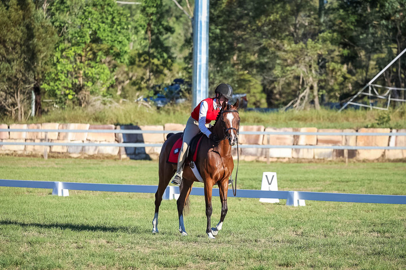 JPC Feb 2026 Dressage-7657.jpg