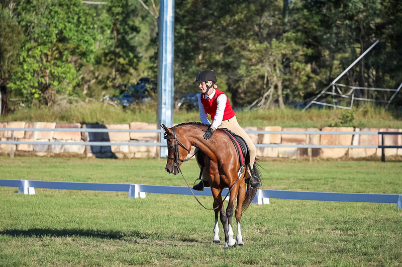 JPC Feb 2026 Dressage-7658.jpg