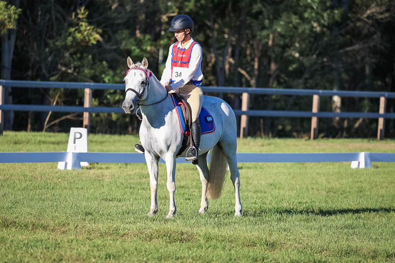 JPC Feb 2026 Dressage-7659.jpg