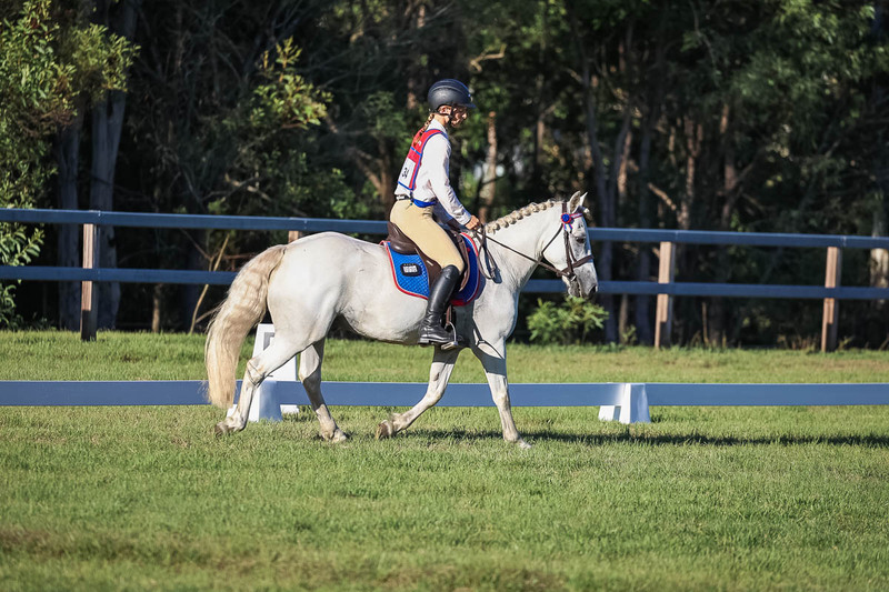 JPC Feb 2026 Dressage-7661.jpg