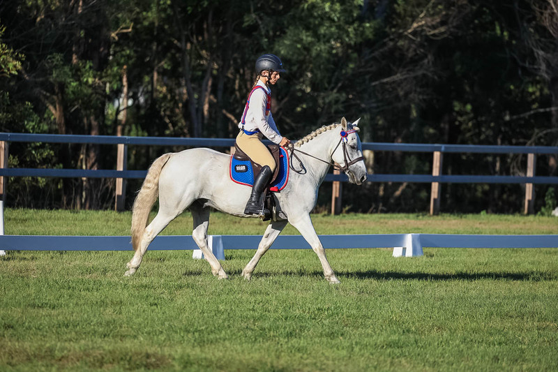 JPC Feb 2026 Dressage-7662.jpg