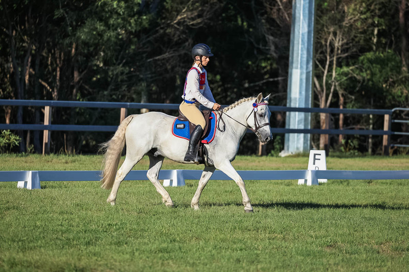 JPC Feb 2026 Dressage-7663.jpg