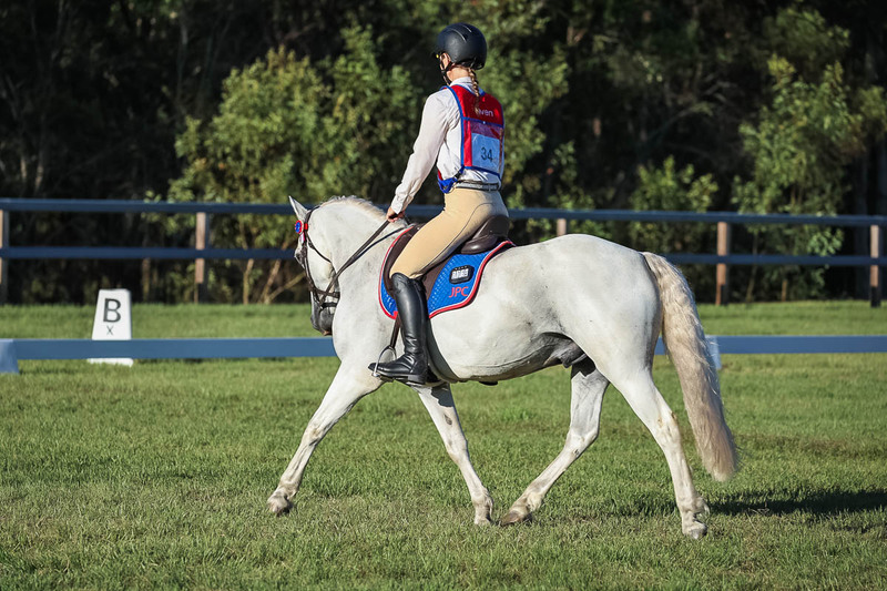 JPC Feb 2026 Dressage-7664.jpg