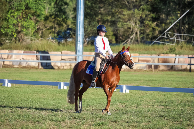 JPC Feb 2026 Dressage-7665.jpg