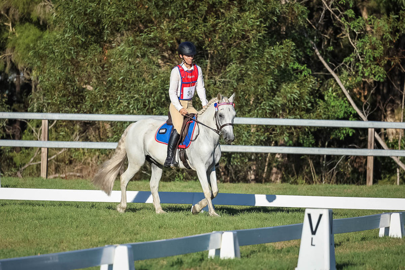 JPC Feb 2026 Dressage-7666.jpg
