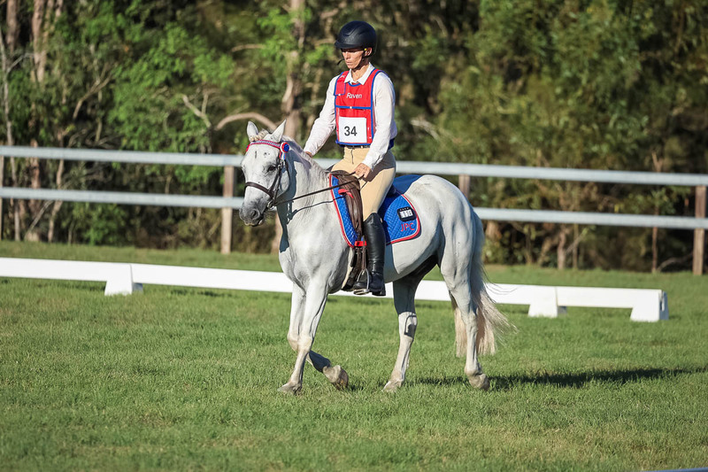 JPC Feb 2026 Dressage-7668.jpg