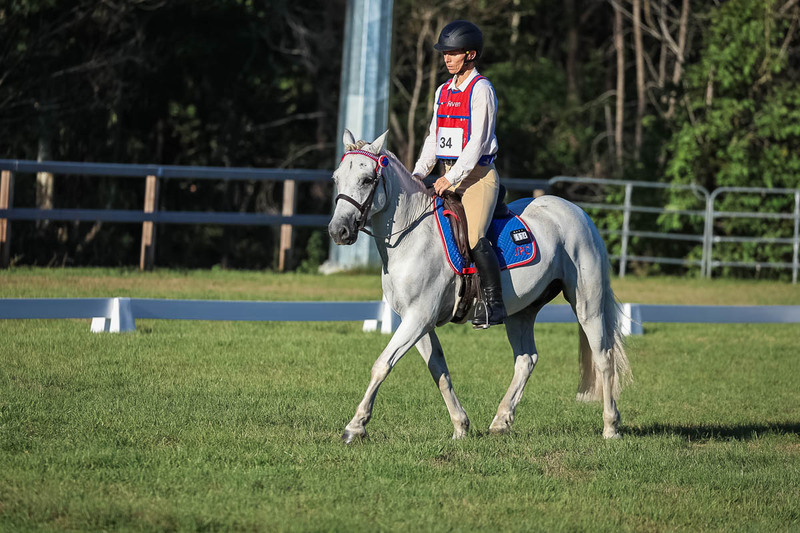 JPC Feb 2026 Dressage-7670.jpg