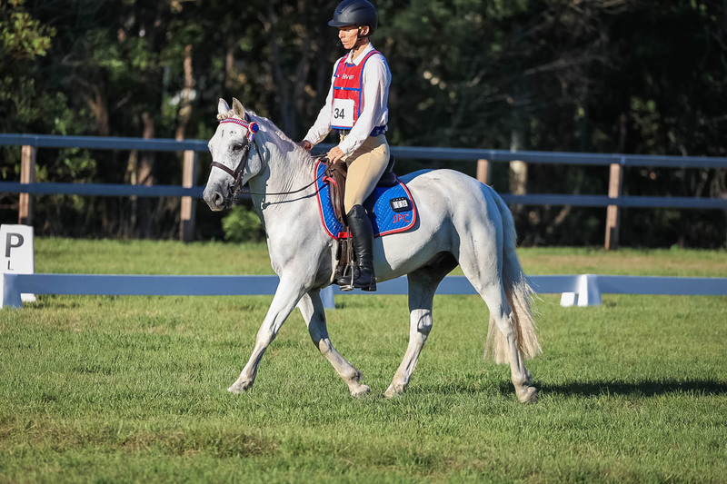 JPC Feb 2026 Dressage-7671.jpg