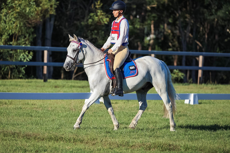 JPC Feb 2026 Dressage-7672.jpg