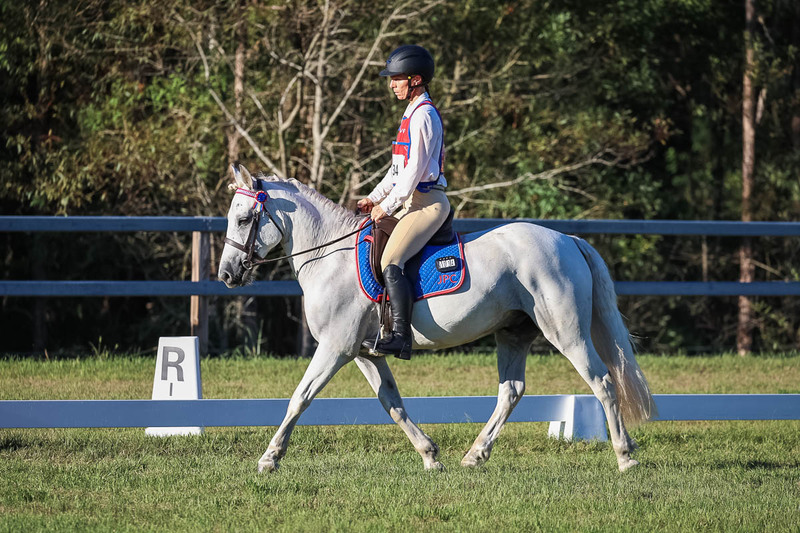 JPC Feb 2026 Dressage-7673.jpg