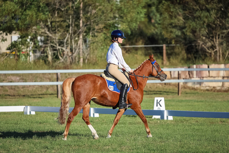 JPC Feb 2026 Dressage-7674.jpg