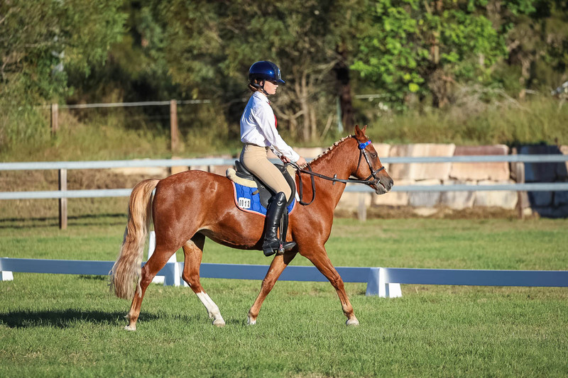 JPC Feb 2026 Dressage-7675.jpg
