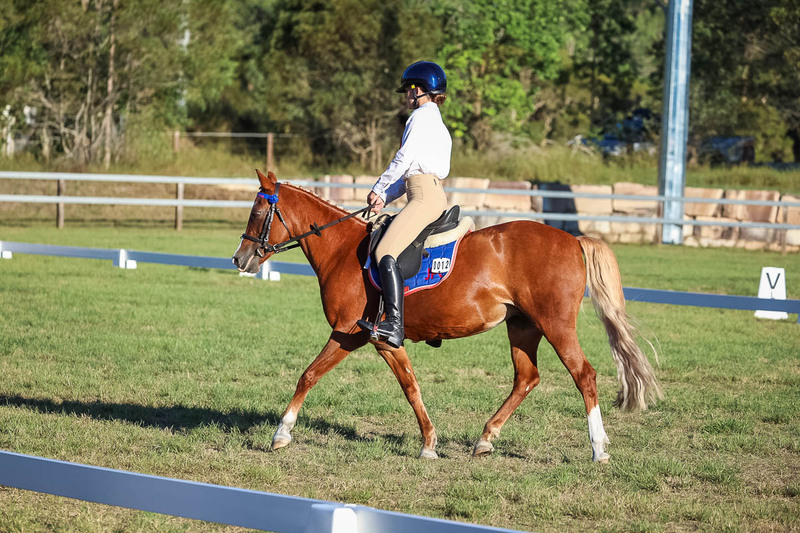 JPC Feb 2026 Dressage-7678.jpg