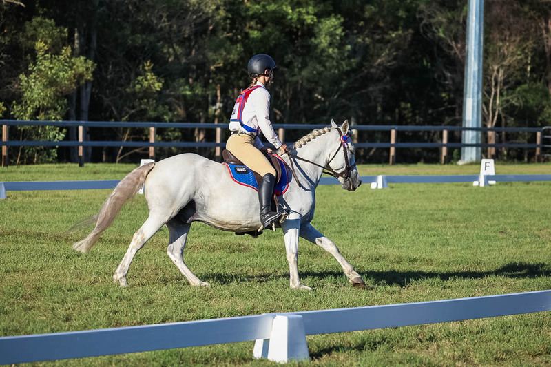 JPC Feb 2026 Dressage-7680.jpg