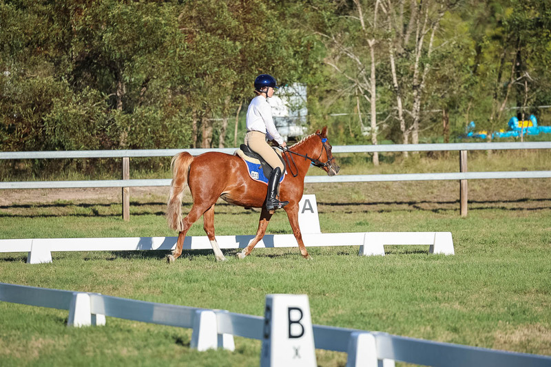 JPC Feb 2026 Dressage-7681.jpg