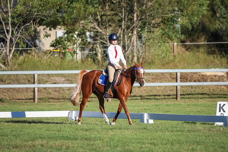 JPC Feb 2026 Dressage-7683.jpg