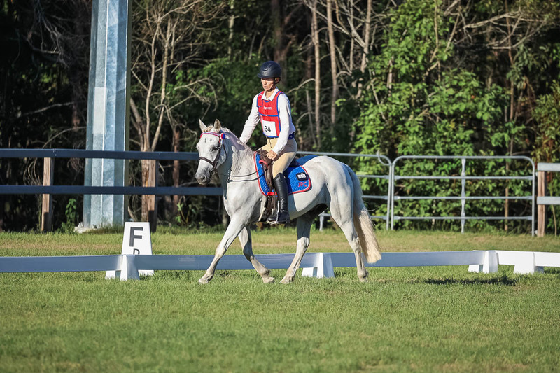 JPC Feb 2026 Dressage-7684.jpg