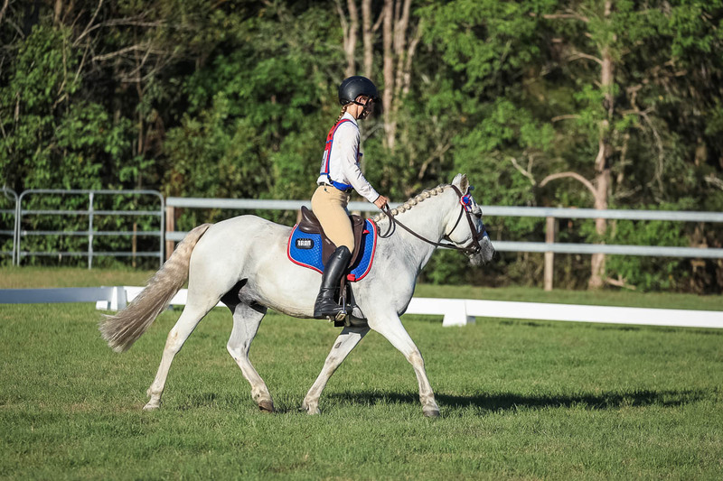 JPC Feb 2026 Dressage-7685.jpg