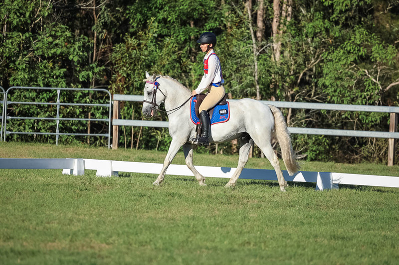 JPC Feb 2026 Dressage-7686.jpg