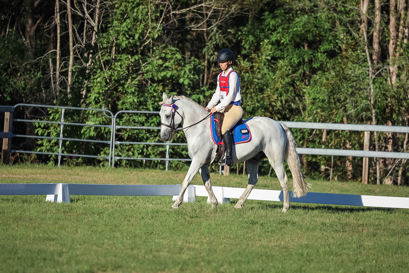 JPC Feb 2026 Dressage-7687.jpg