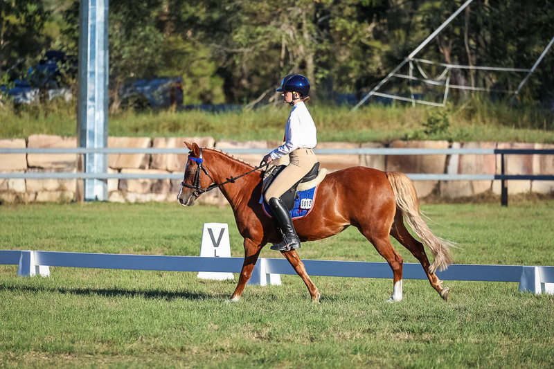 JPC Feb 2026 Dressage-7688.jpg
