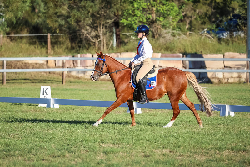 JPC Feb 2026 Dressage-7690.jpg