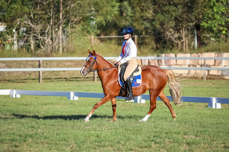 JPC Feb 2026 Dressage-7691.jpg