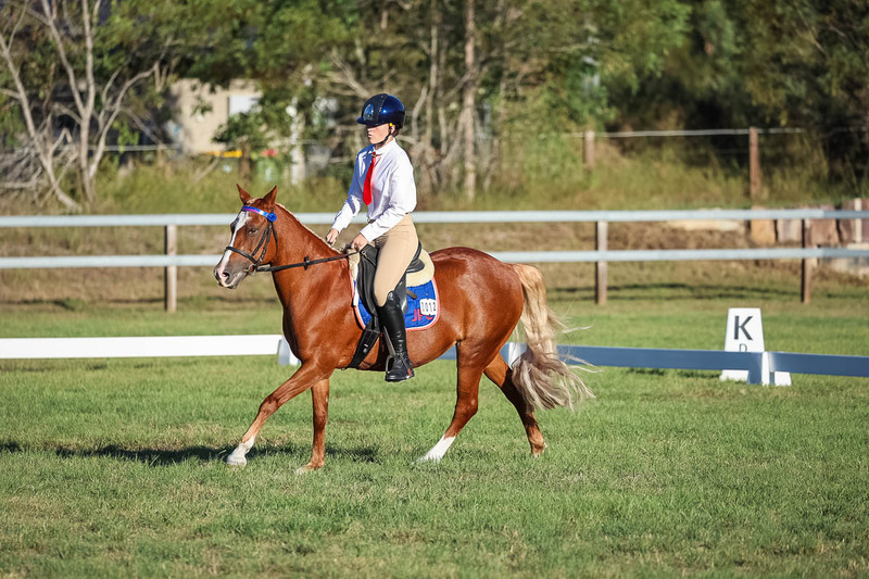 JPC Feb 2026 Dressage-7692.jpg