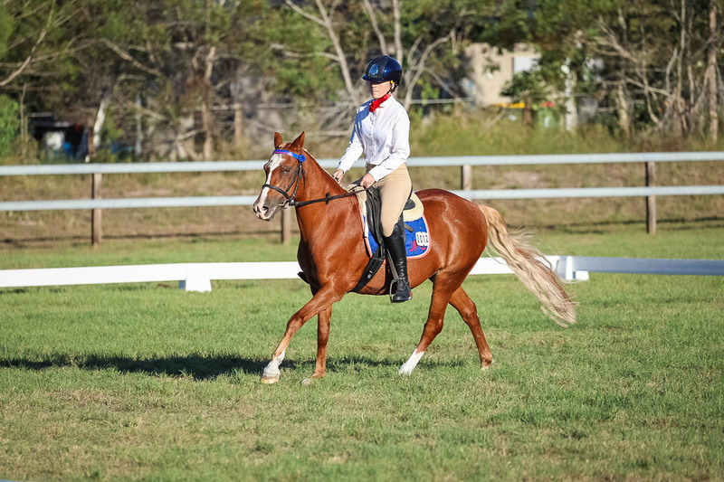 JPC Feb 2026 Dressage-7693.jpg