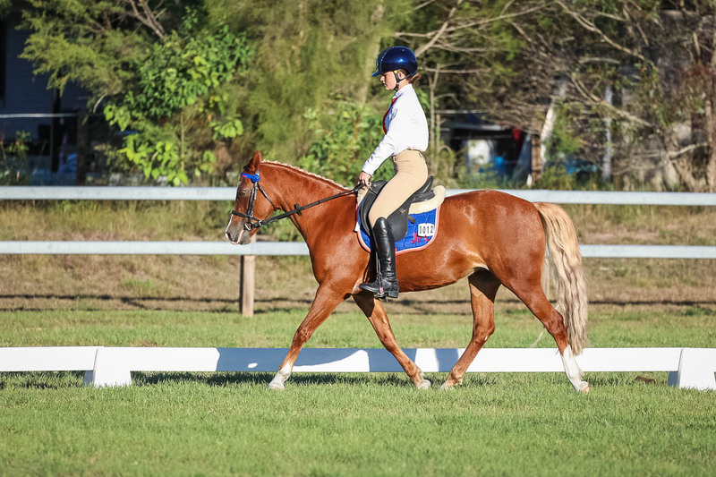 JPC Feb 2026 Dressage-7694.jpg