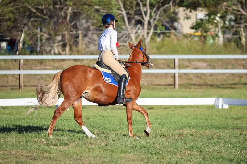 JPC Feb 2026 Dressage-7697.jpg