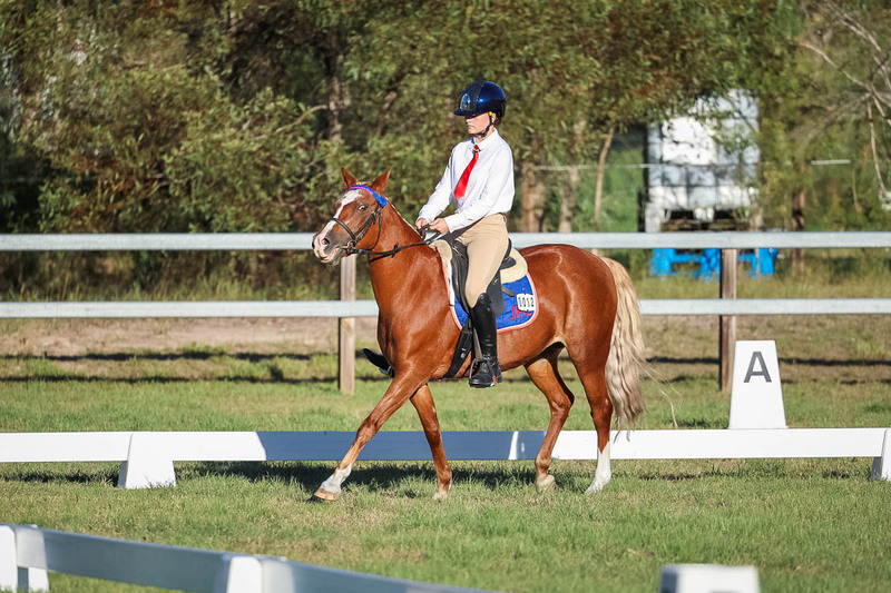 JPC Feb 2026 Dressage-7698.jpg