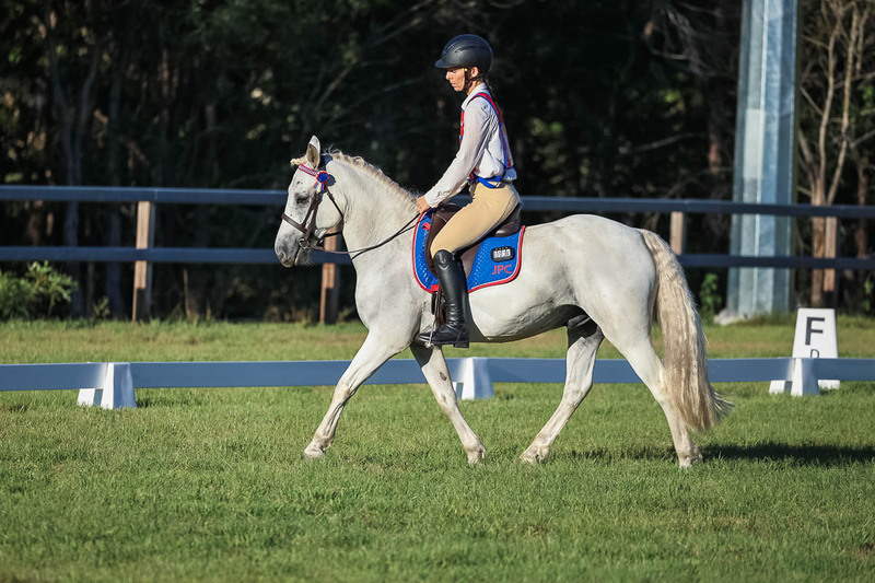JPC Feb 2026 Dressage-7699.jpg