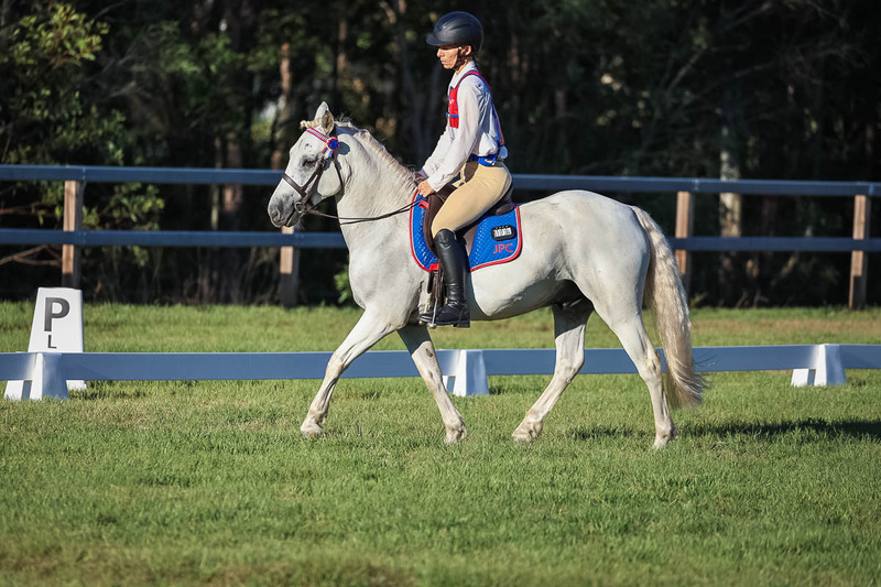 JPC Feb 2026 Dressage-7700.jpg