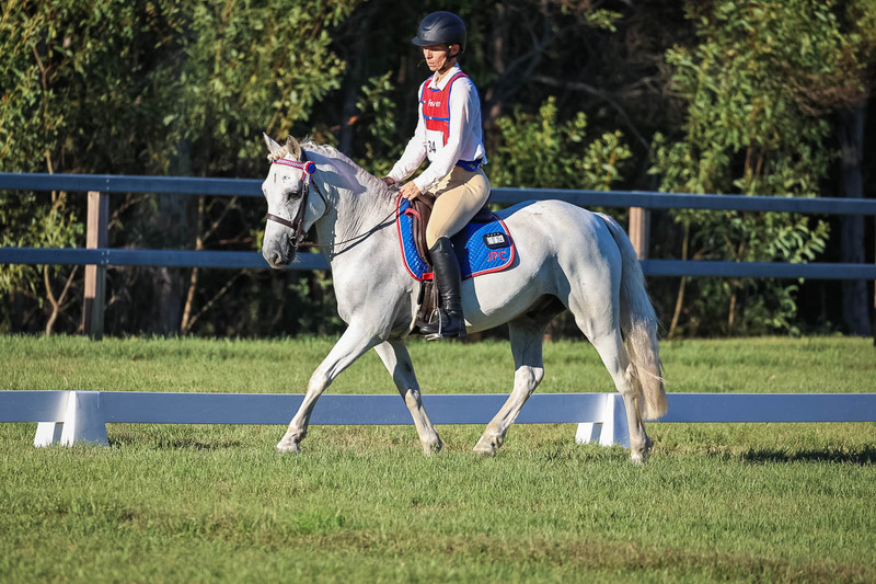 JPC Feb 2026 Dressage-7701.jpg
