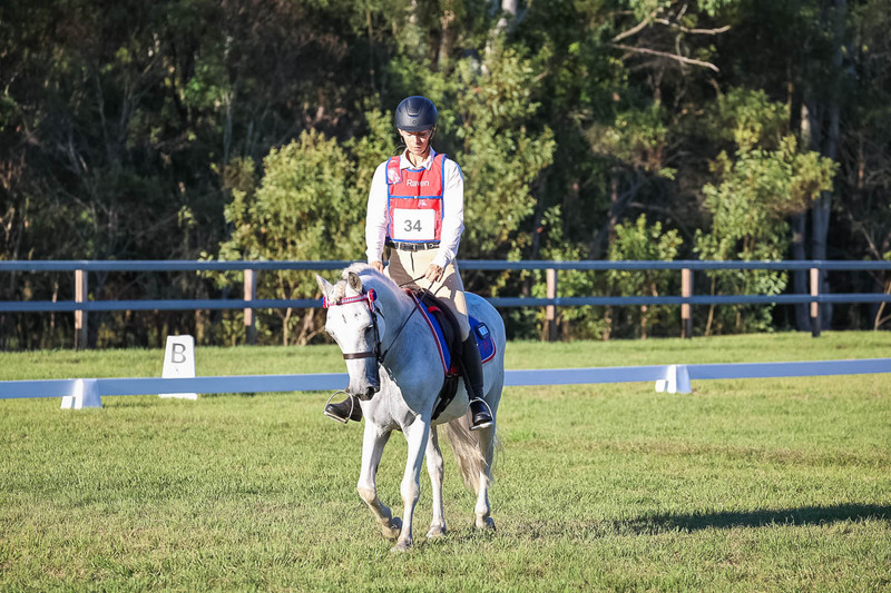 JPC Feb 2026 Dressage-7703.jpg