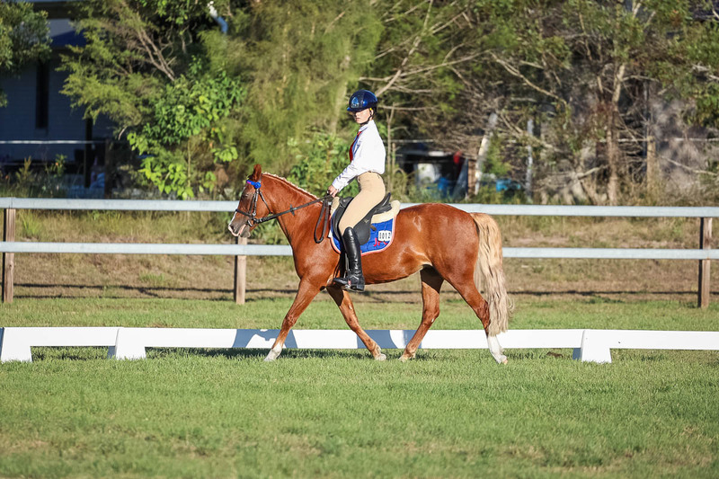 JPC Feb 2026 Dressage-7705.jpg