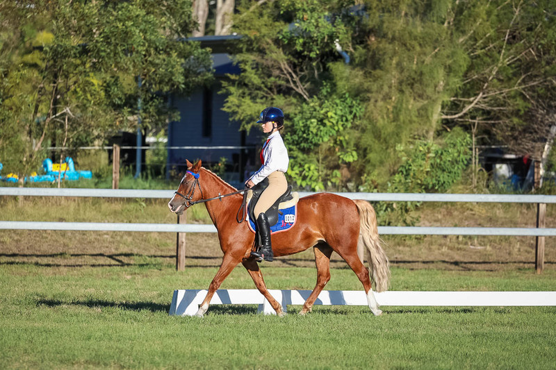 JPC Feb 2026 Dressage-7706.jpg