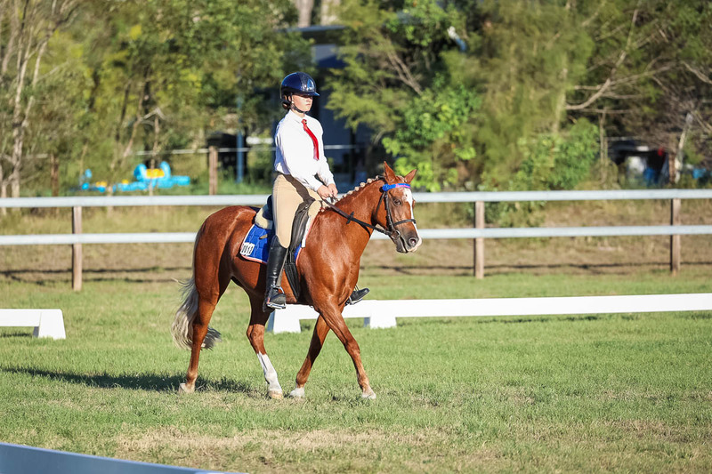 JPC Feb 2026 Dressage-7708.jpg
