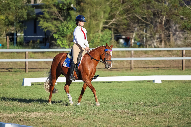 JPC Feb 2026 Dressage-7709.jpg