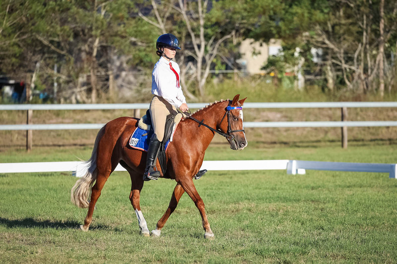 JPC Feb 2026 Dressage-7710.jpg