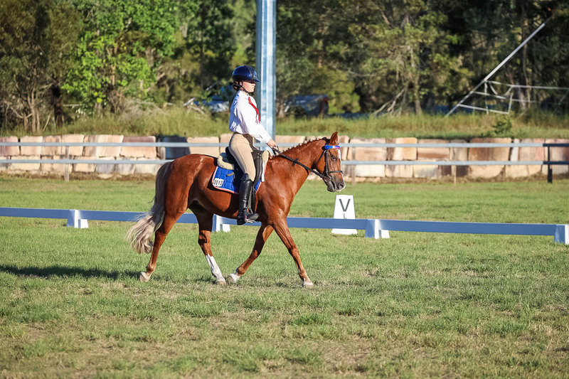 JPC Feb 2026 Dressage-7712.jpg
