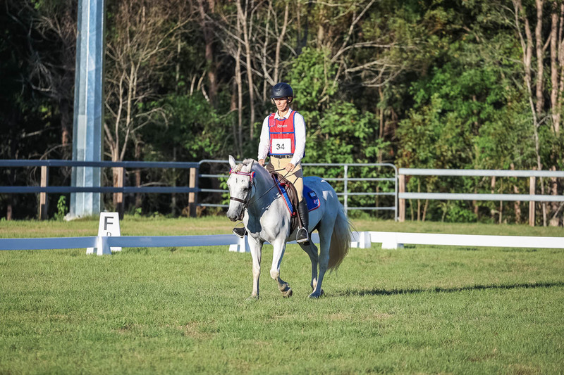 JPC Feb 2026 Dressage-7713.jpg