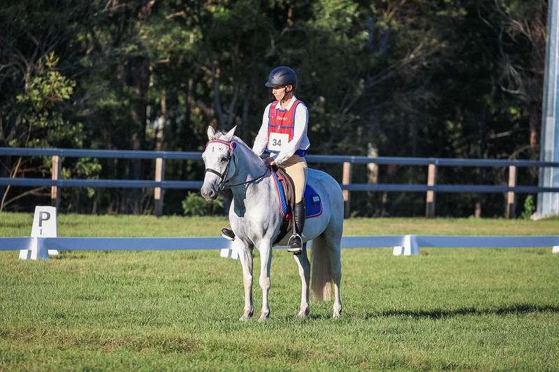 JPC Feb 2026 Dressage-7715.jpg