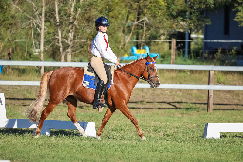 JPC Feb 2026 Dressage-7716.jpg