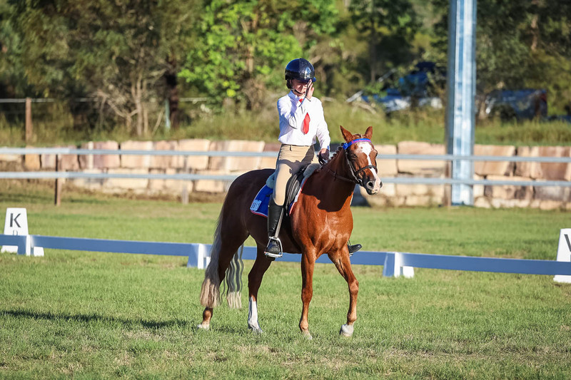 JPC Feb 2026 Dressage-7717.jpg