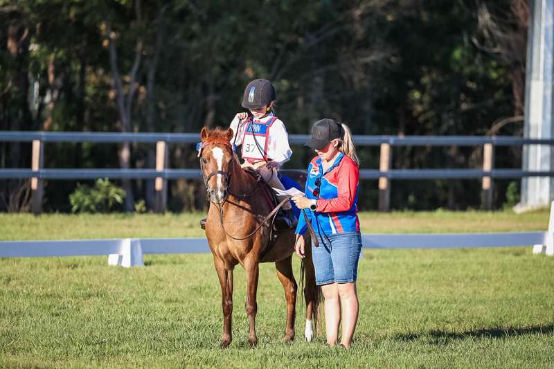 JPC Feb 2026 Dressage-7719.jpg
